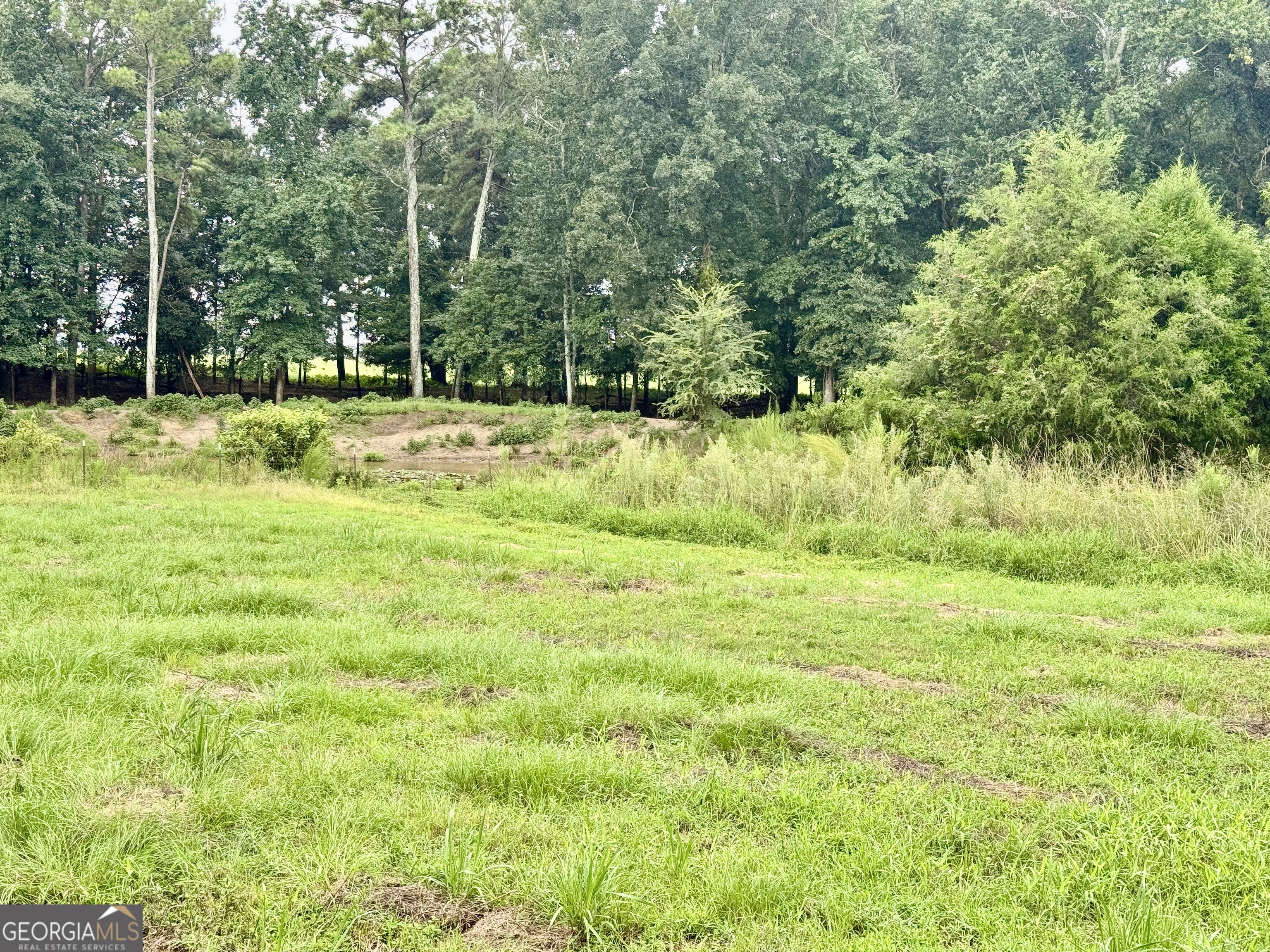 345 Cool Water Road Vienna, GA 31092 - Photo 40 of 41