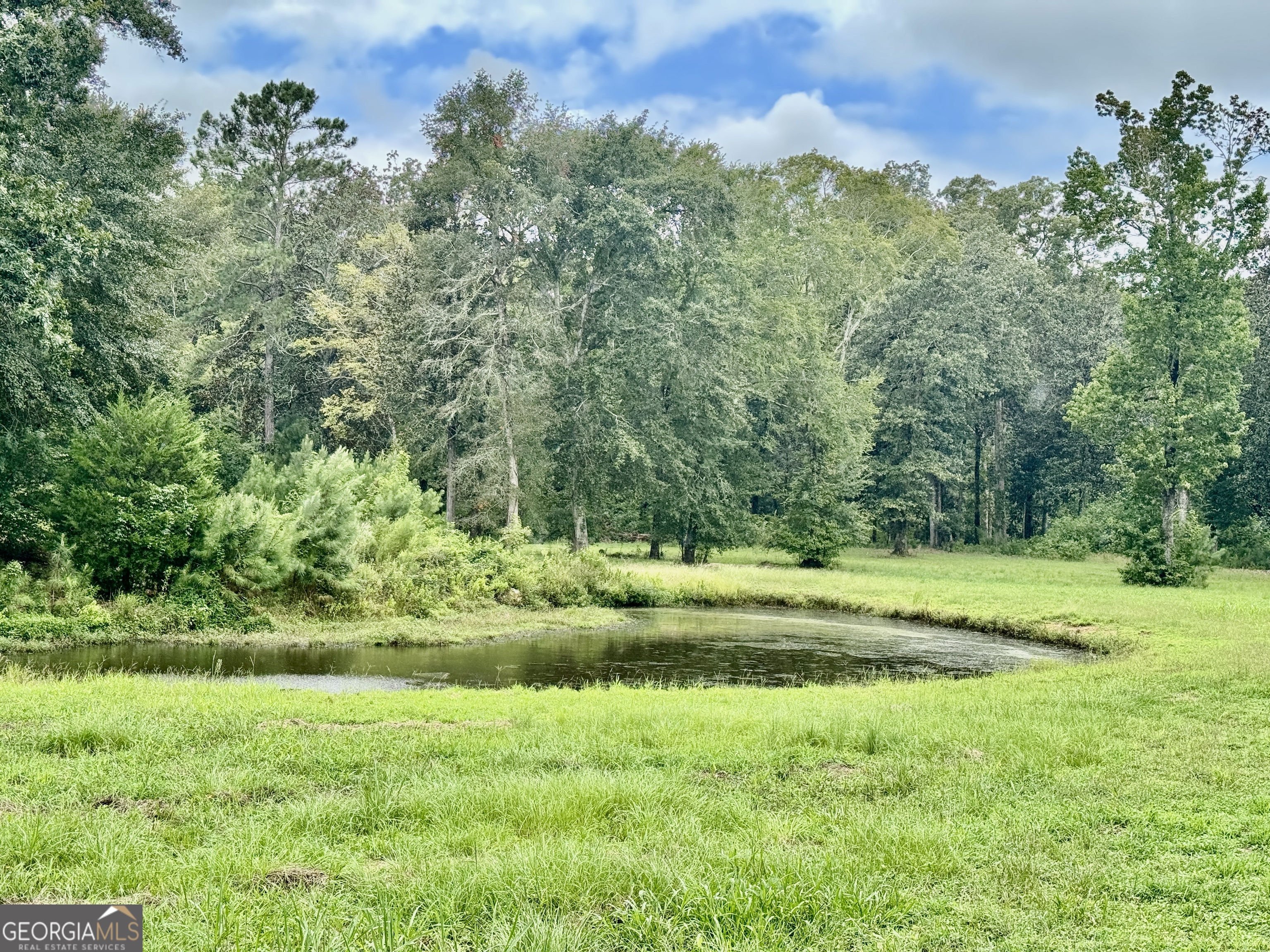 345 Cool Water Road Vienna, GA 31092 - Photo 41 of 41 a view of a lush green space