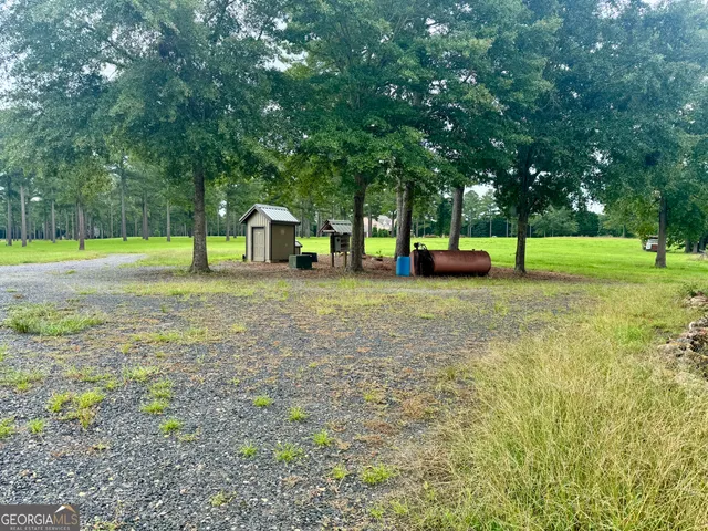a view of a field with a tree