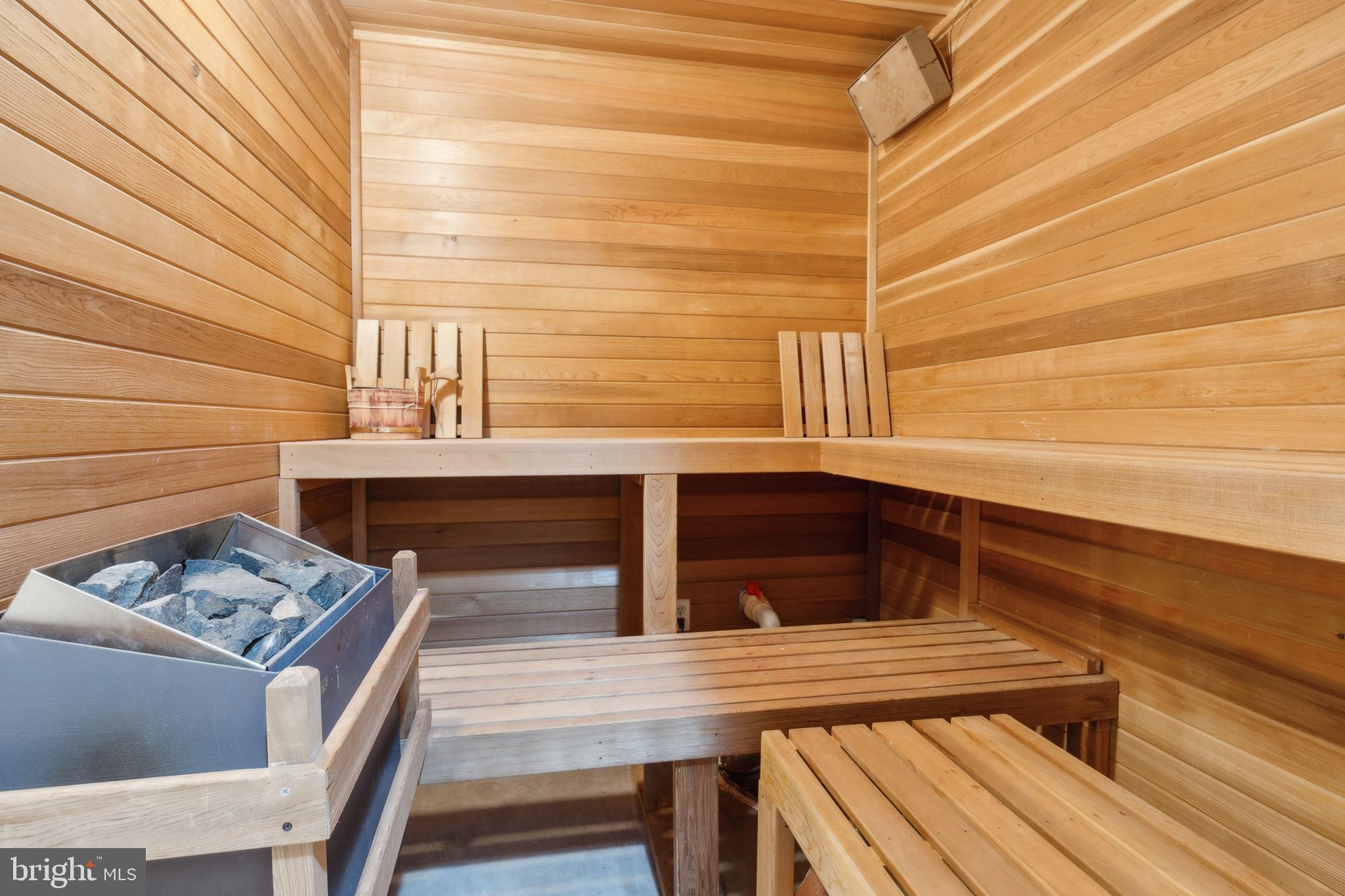 12392 Henderson Road Clifton, VA 20124 - Photo 41 of 61 sauna