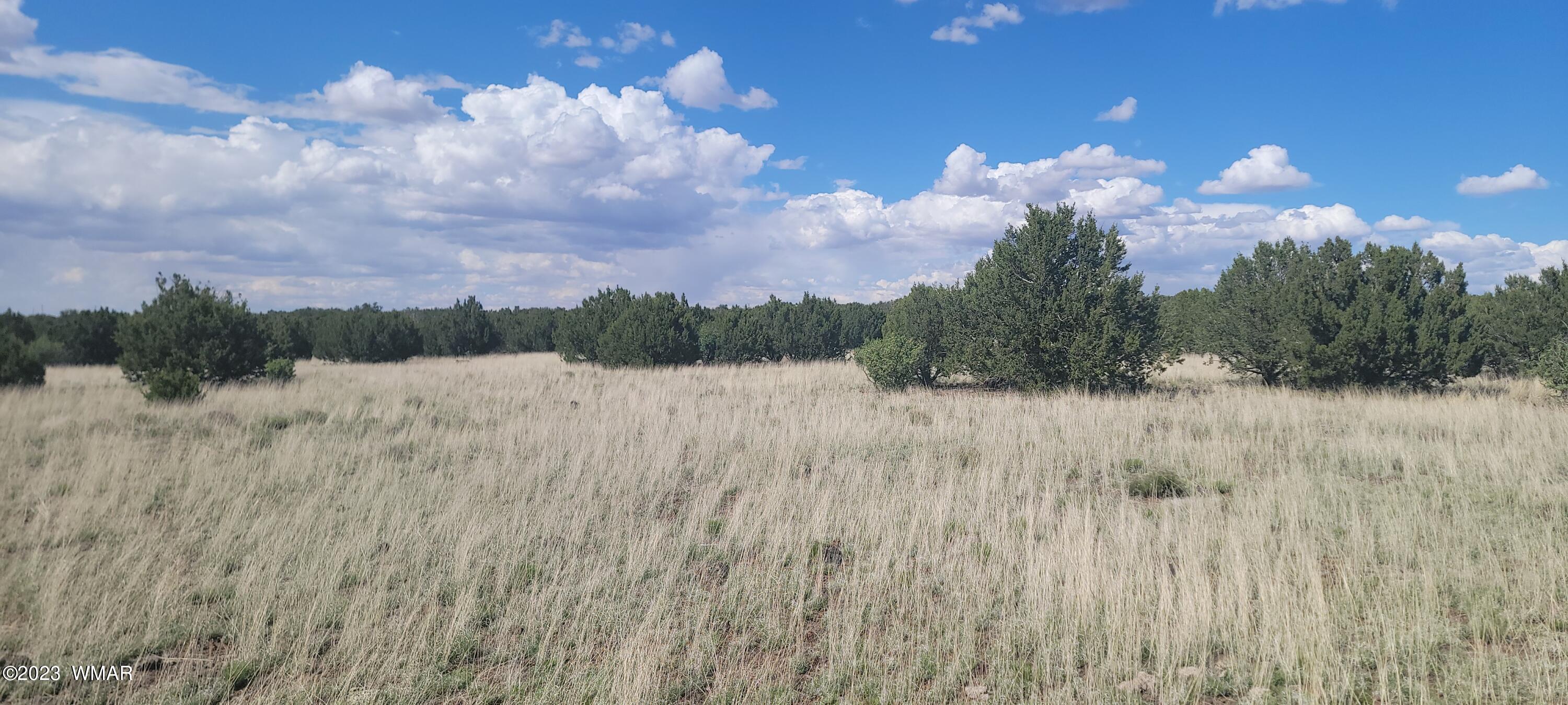 8722 Supancheck Road Show Low, AZ 85901 - Photo 1 of 9 Gallery Image 1