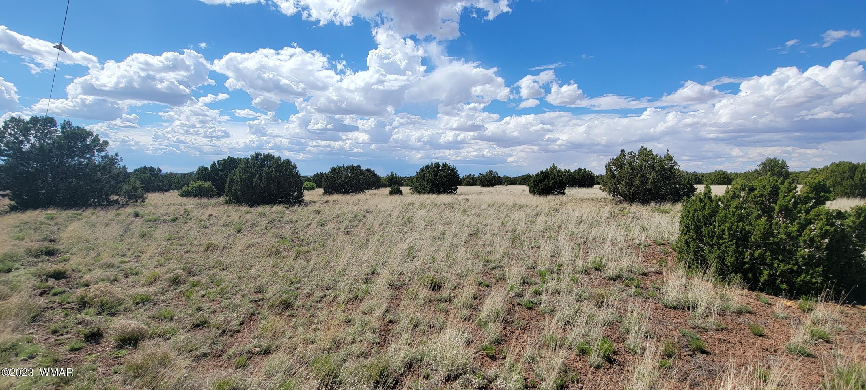 8722 Supancheck Road Show Low, AZ 85901 - Photo 4 of 9 Gallery Image 4