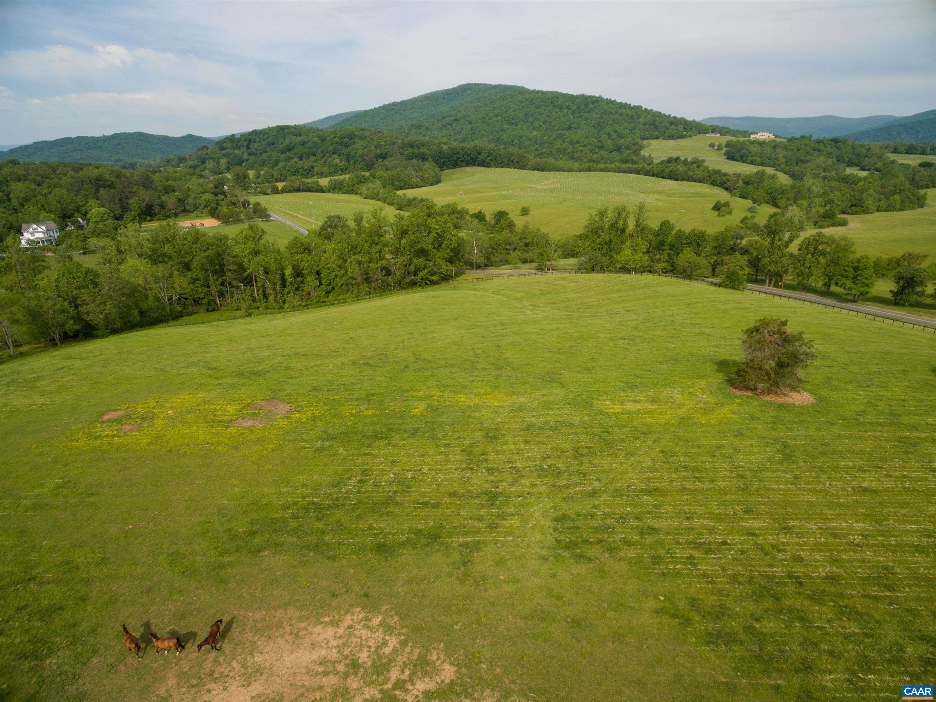 1 B White Hall Road Charlottesville, VA 22901 - Photo 1 of 13 Gallery Image 1