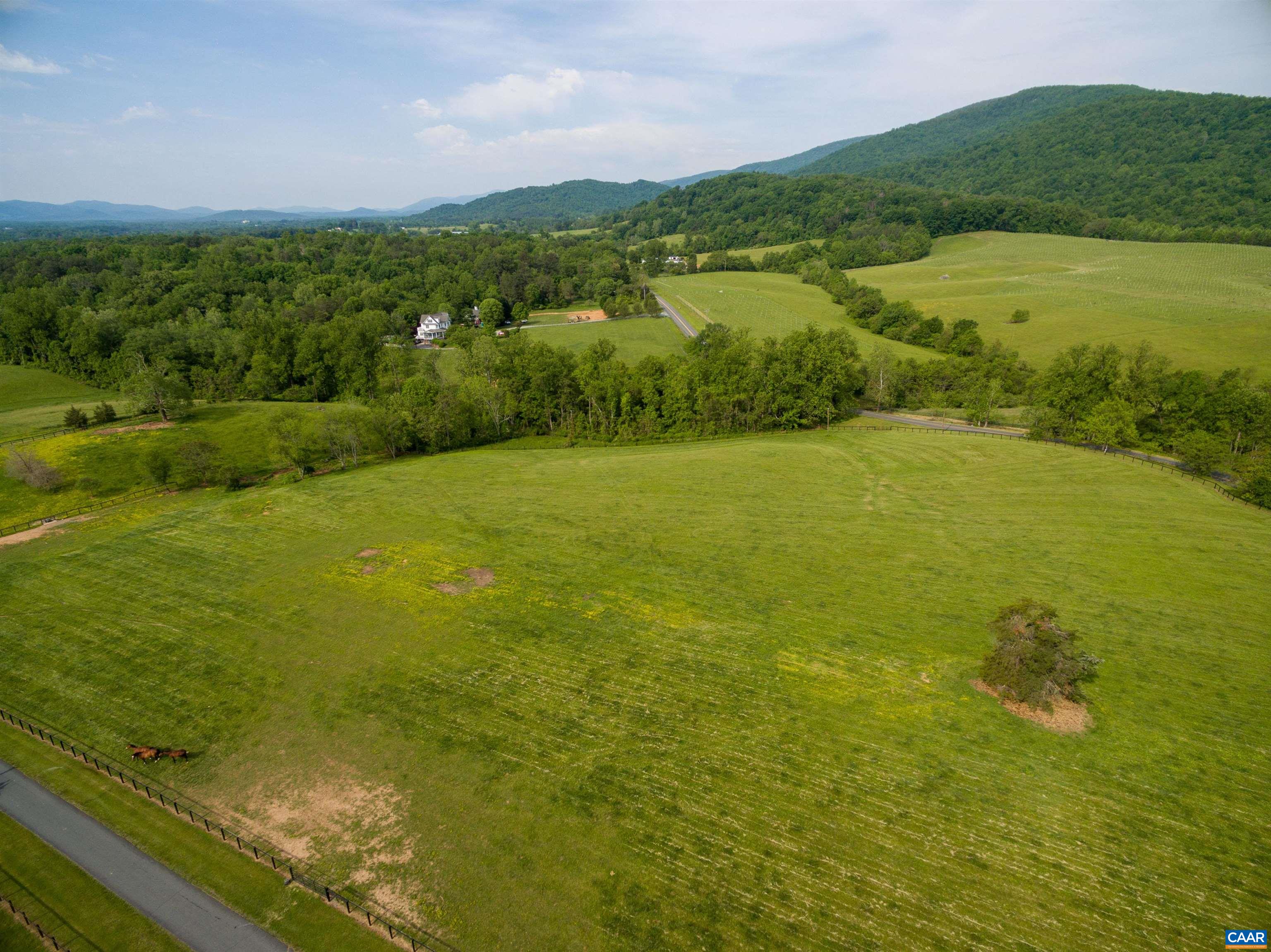 1 B White Hall Road Charlottesville, VA 22901 - Photo 11 of 13 Gallery Image 11