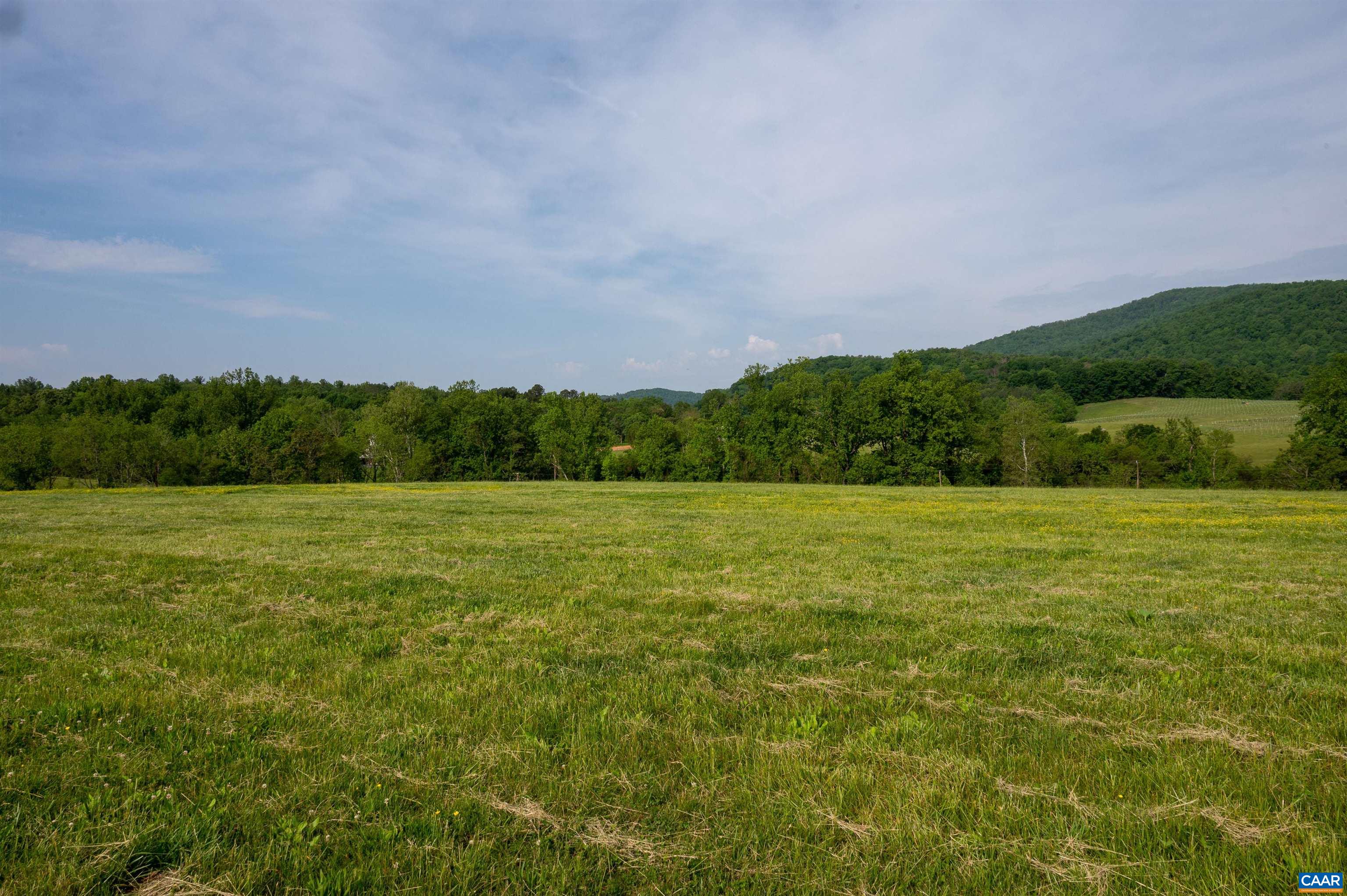 1 B White Hall Road Charlottesville, VA 22901 - Photo 3 of 13 Gallery Image 3