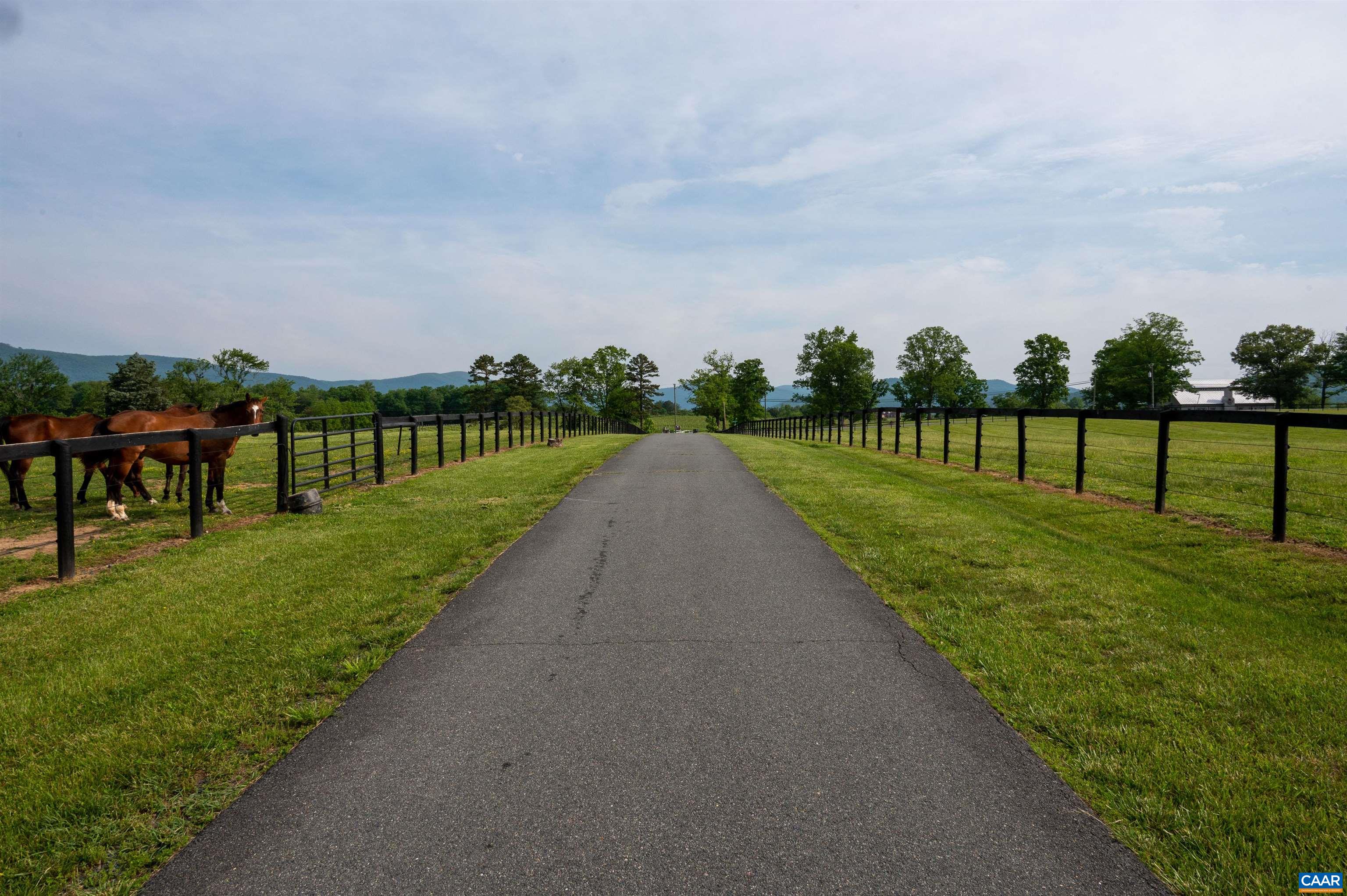 1 B White Hall Road Charlottesville, VA 22901 - Photo 7 of 13 Gallery Image 7