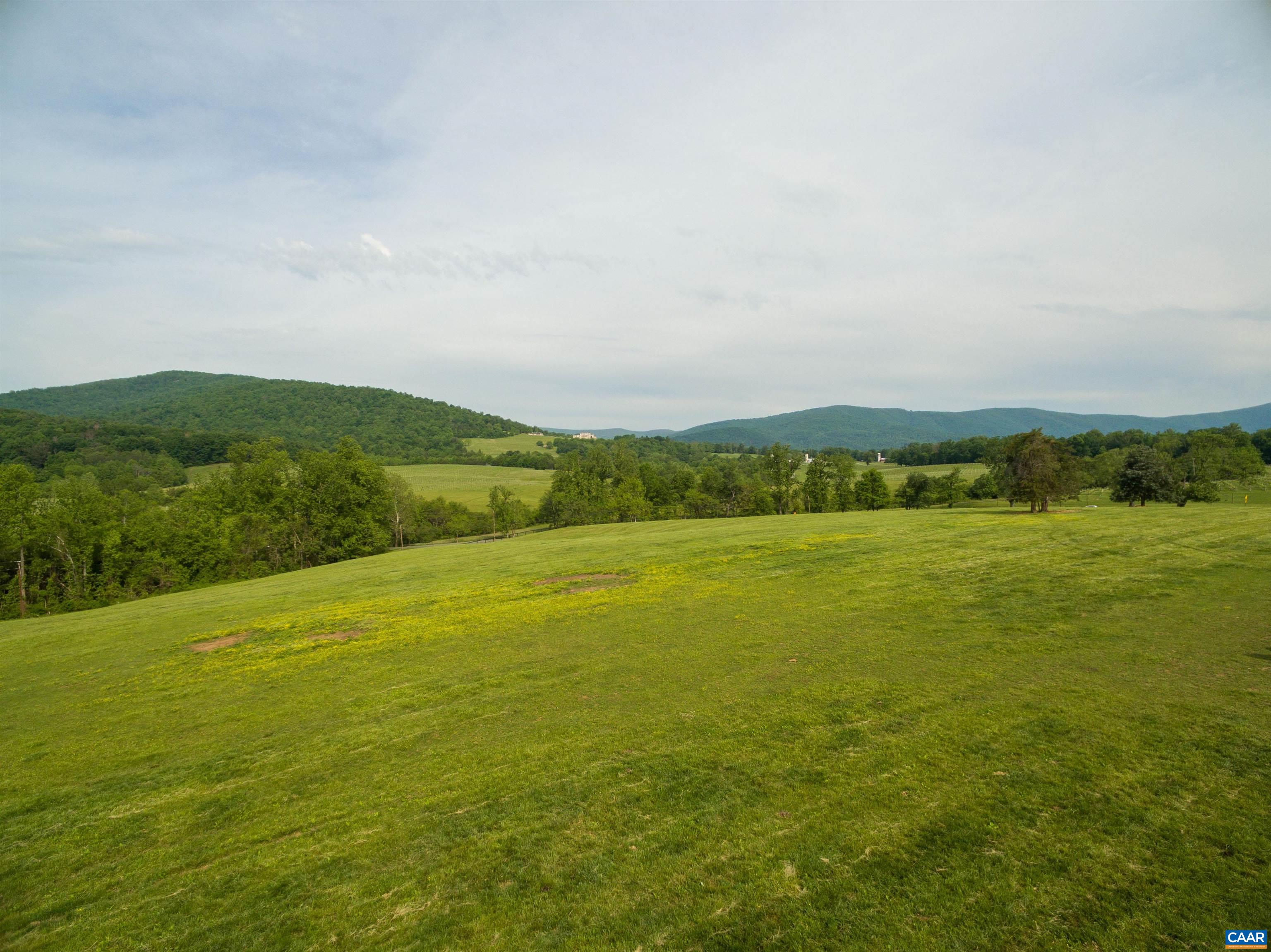 1 B White Hall Road Charlottesville, VA 22901 - Photo 8 of 13 Gallery Image 8