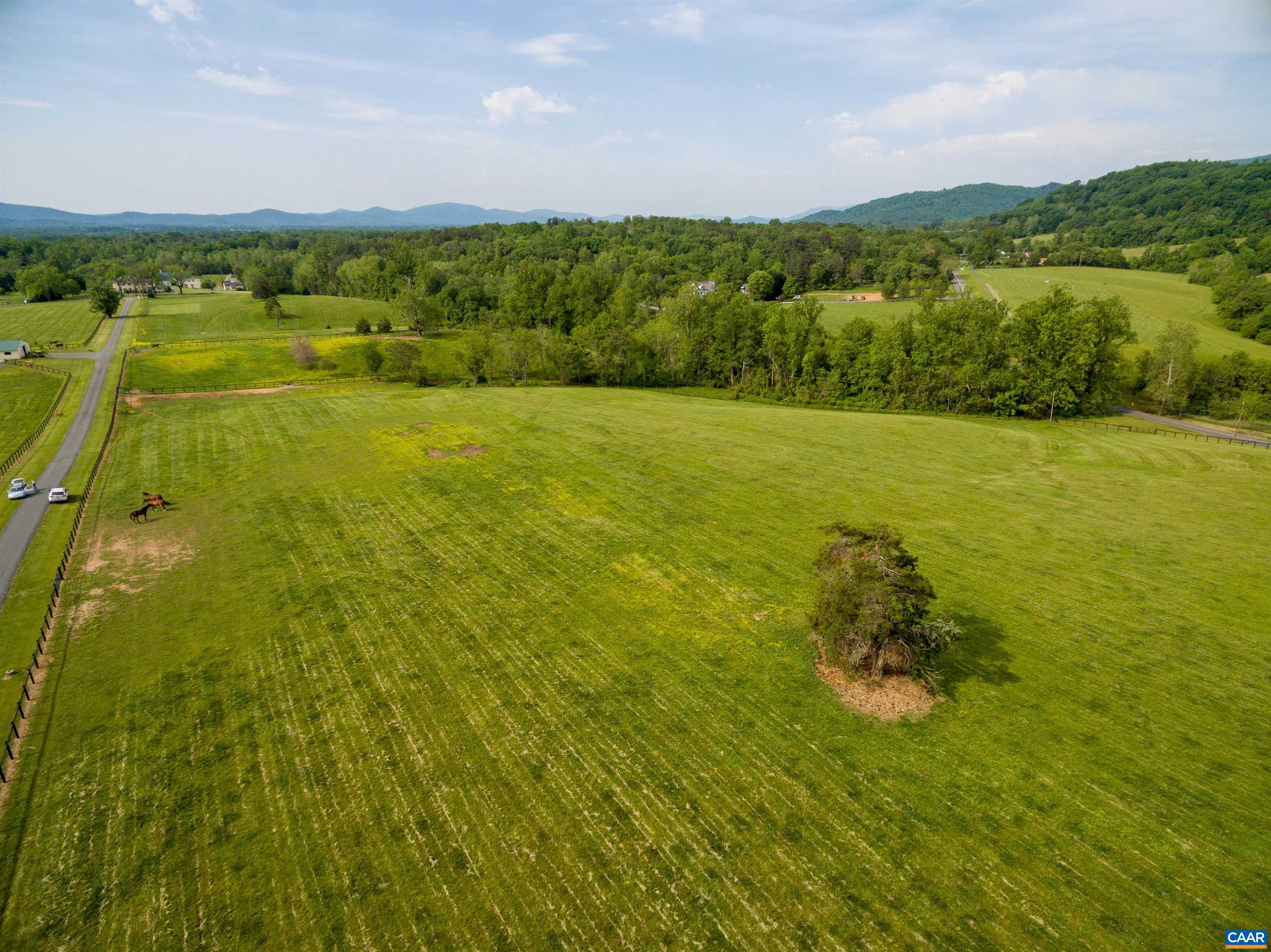 1 B White Hall Road Charlottesville, VA 22901 - Photo 10 of 13 Gallery Image 10