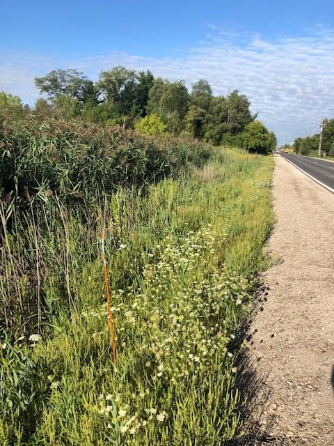 0 26 26 Mile Road New Baltimore, MI 48051 - Photo 1 of 3
