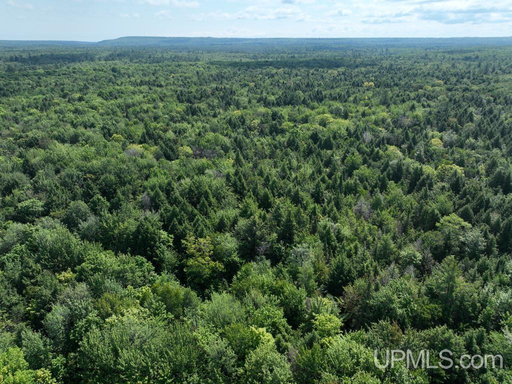 0 Peter White Road Au Train, MI 49806 - Photo 1 of 12