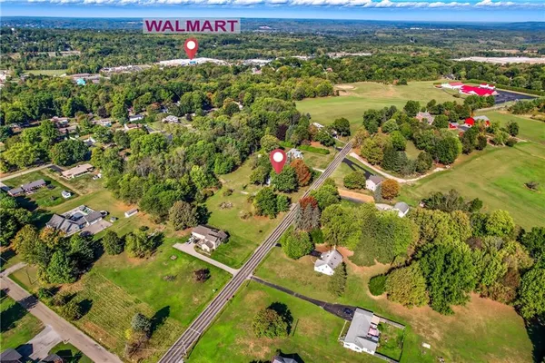 a view of a bunch of flowers and trees