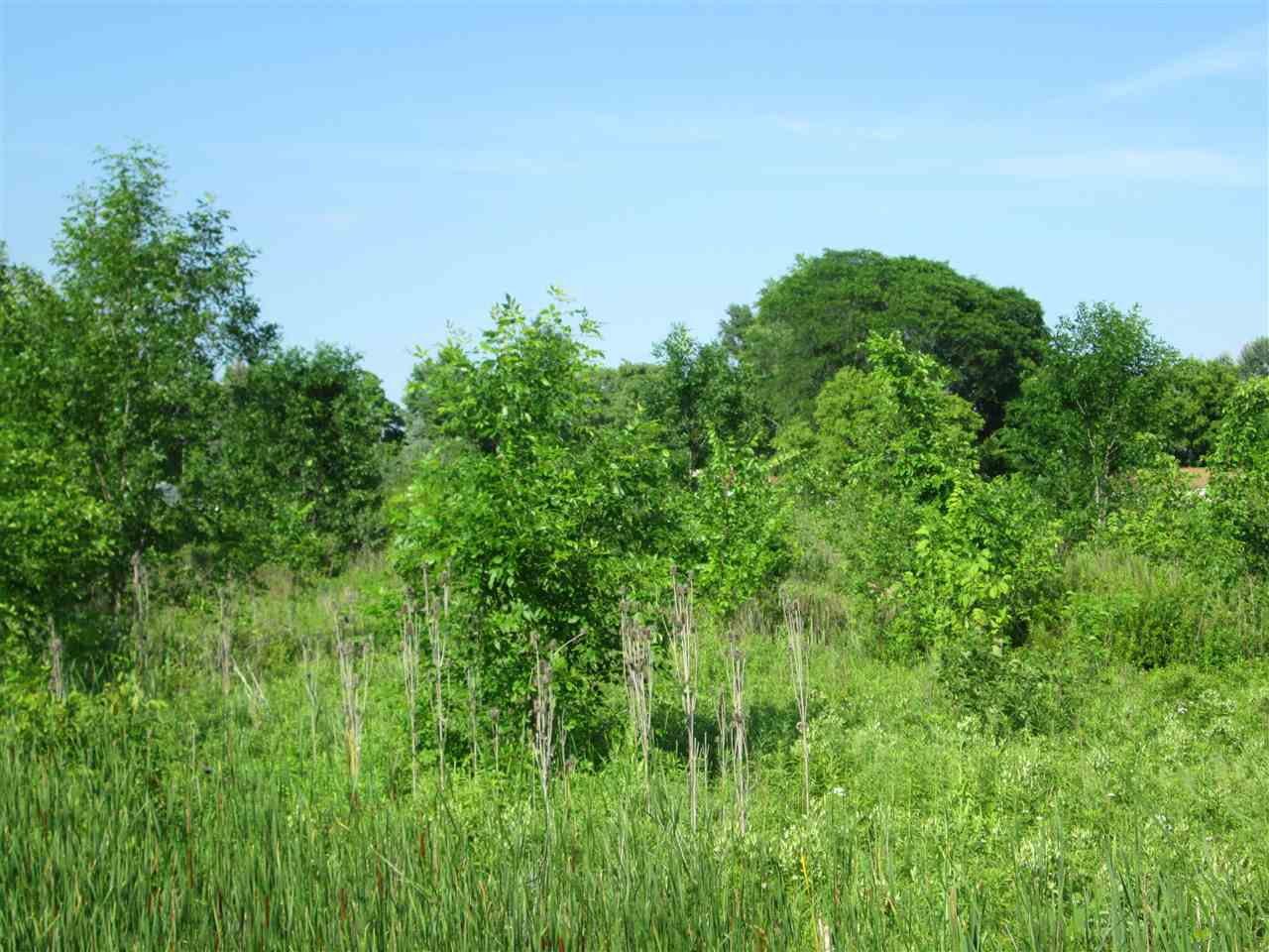 0 Wadhams Road Smiths Creek, MI 48074 - Photo 2 of 7 Gallery Image 2