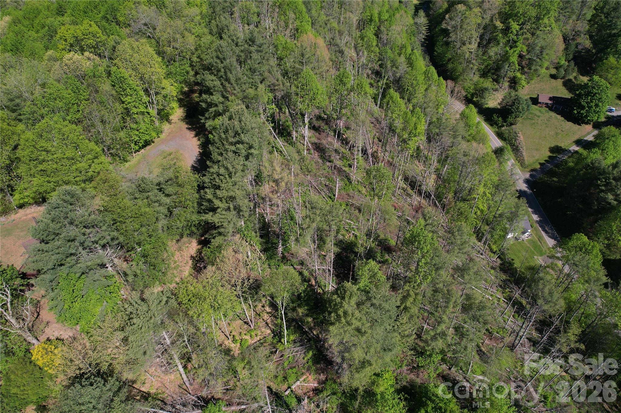 0 River Rock Road Warrensville, NC 28693 - Photo 2 of 15