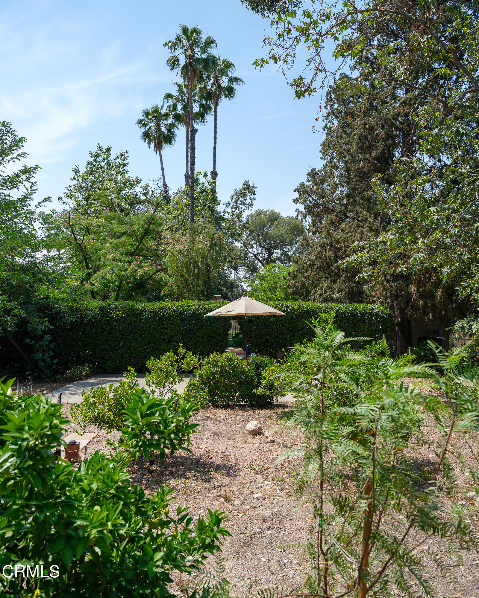 1531 Braeburn Road Altadena, CA 91001 - Photo 74 of 75 NPW_1531Braeburn_074_FLEXMLS