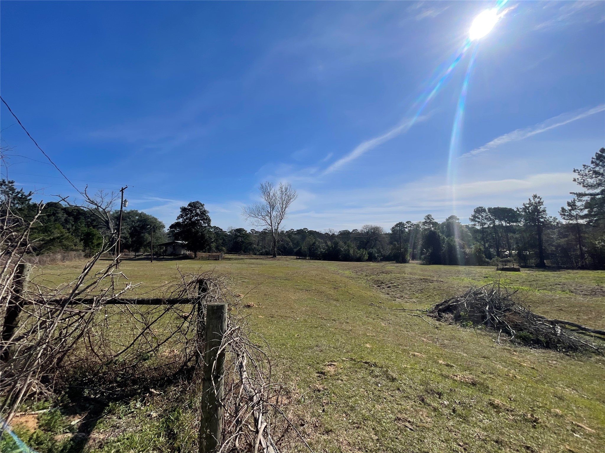 490 Cemetery Road Coldspring, TX 77331 - Photo 19 of 25 Horses and cattle are welcome!