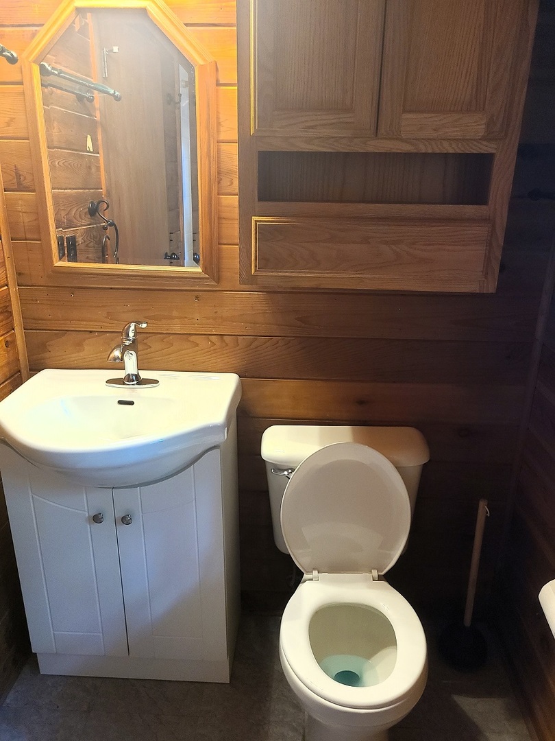 110 Hickory Lane Dixon, IL 61021 - Photo 15 of 24 a bathroom with a toilet and a sink
