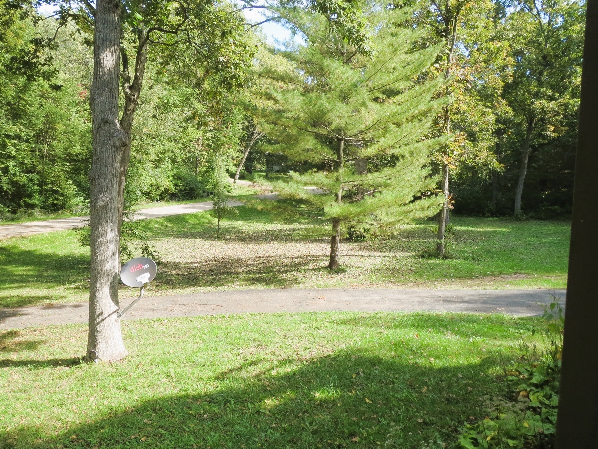 110 Hickory Lane Dixon, IL 61021 - Photo 20 of 24 a view of a yard with a tree