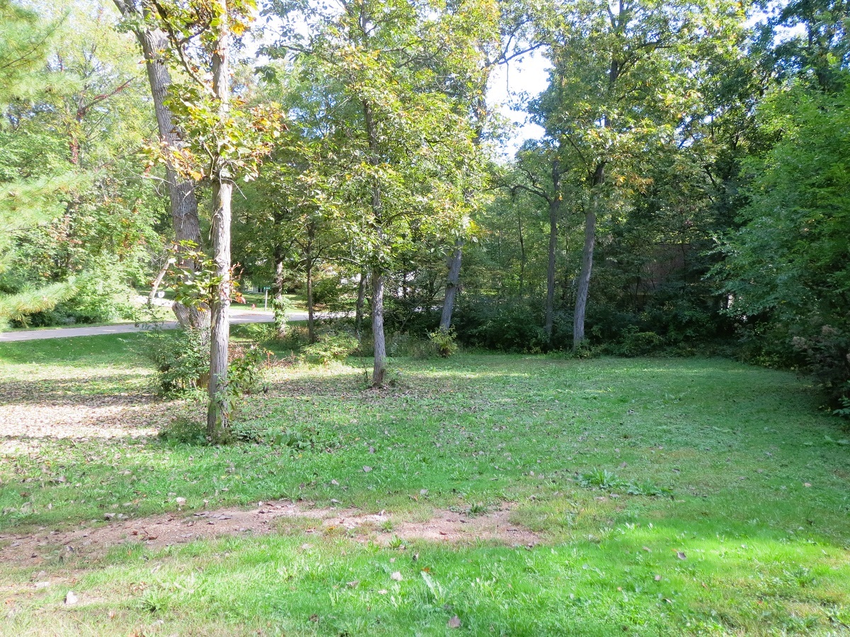 110 Hickory Lane Dixon, IL 61021 - Photo 21 of 24 a view of a garden with a tree