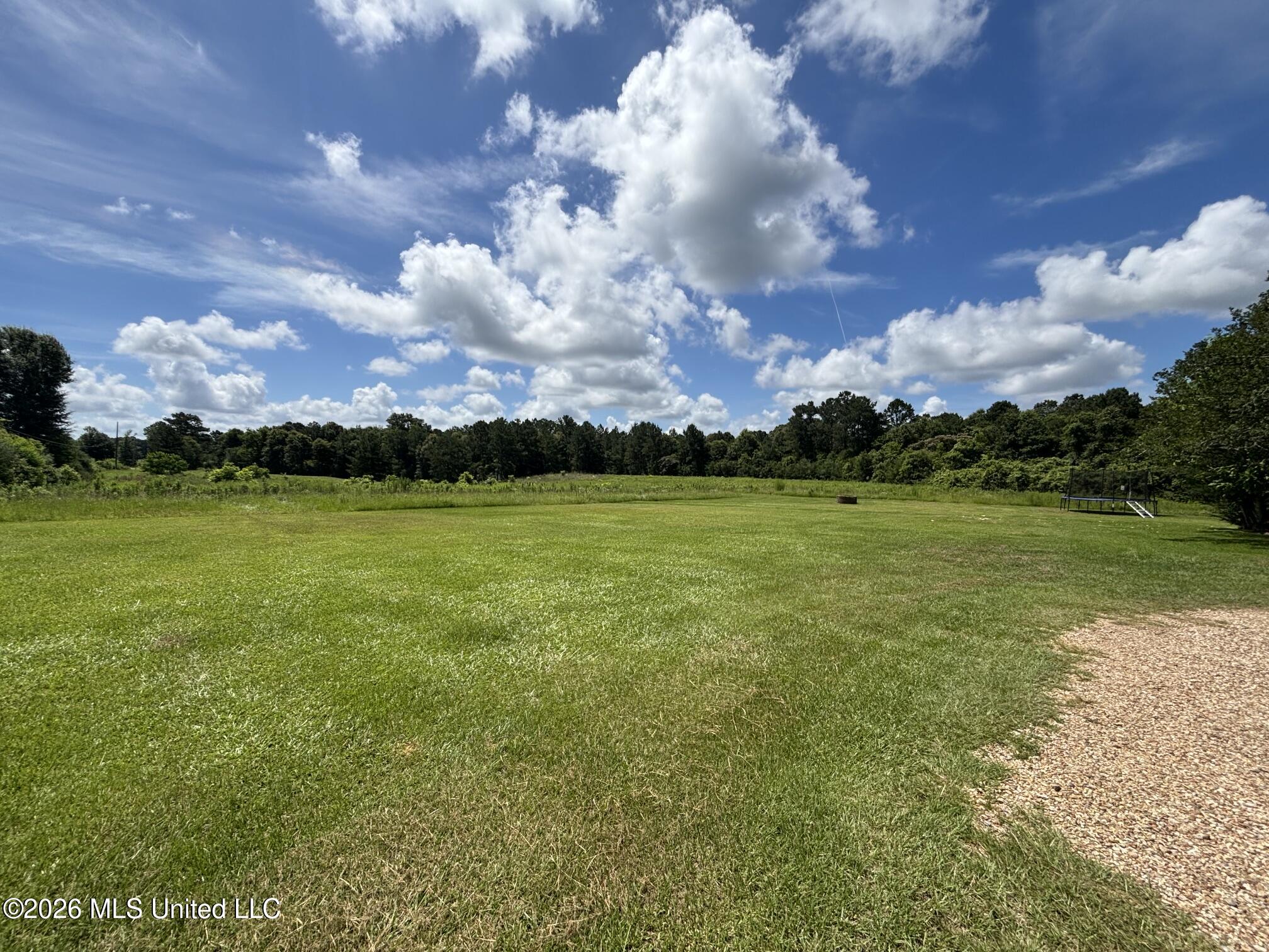 166 West Lexie Road Tylertown, MS 39667 - Photo 2 of 20 IMG_5047