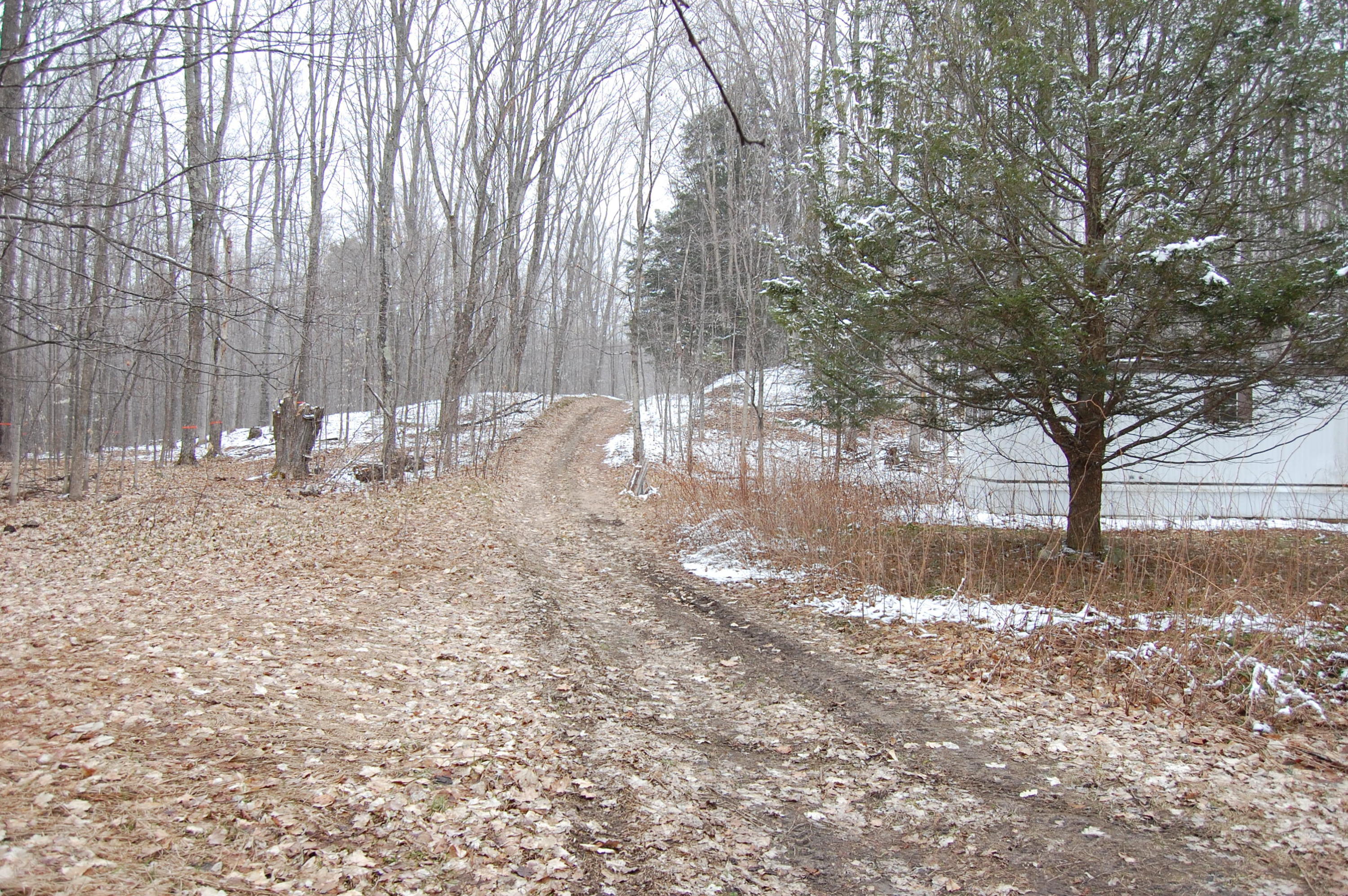6990 Canby Road Levering, MI 49755 - Photo 7 of 7 Gallery Image 7