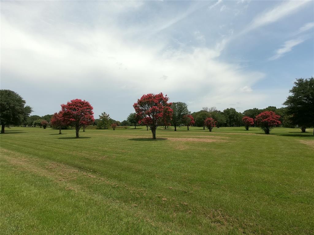 Lot Pt31-32 Emory Tx 75440 Emory, TX 75440 - Photo 7 of 15