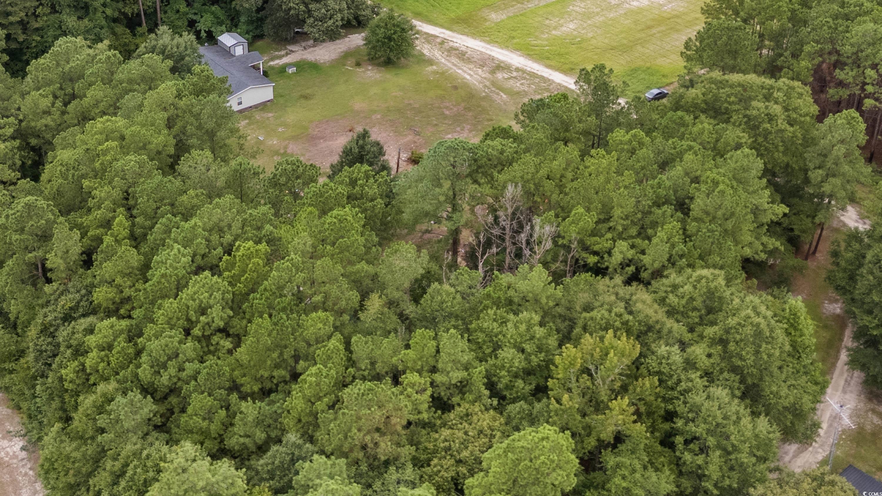 9060 Pee Dee Highway Conway, SC 29527 - Photo 32 of 38 Drone / aerial view