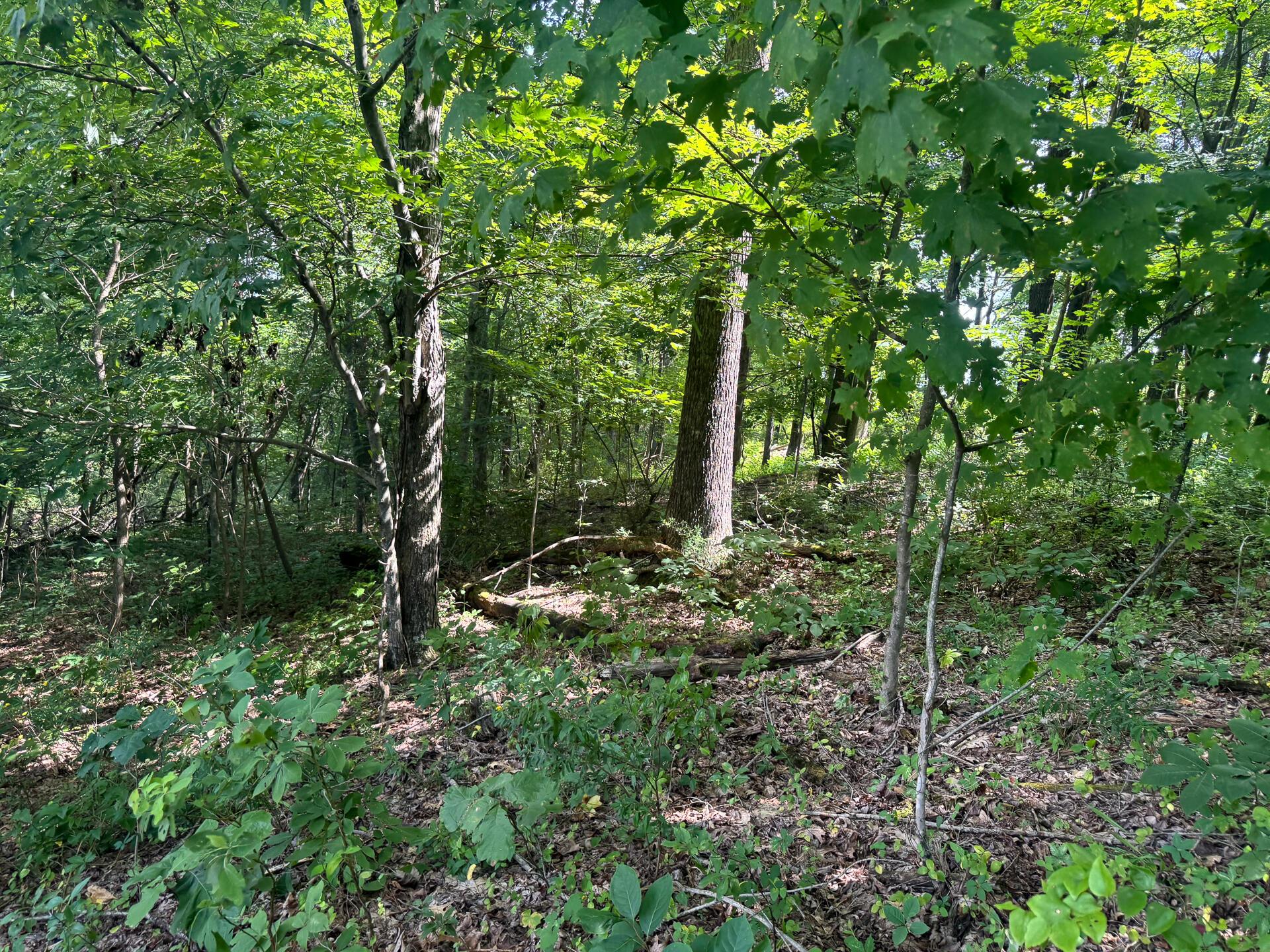 100 Golf Course Road, Unit TRACT 12 SKYLINE ACRES) Waverly, OH 45690 - Photo 36 of 44 CT-36