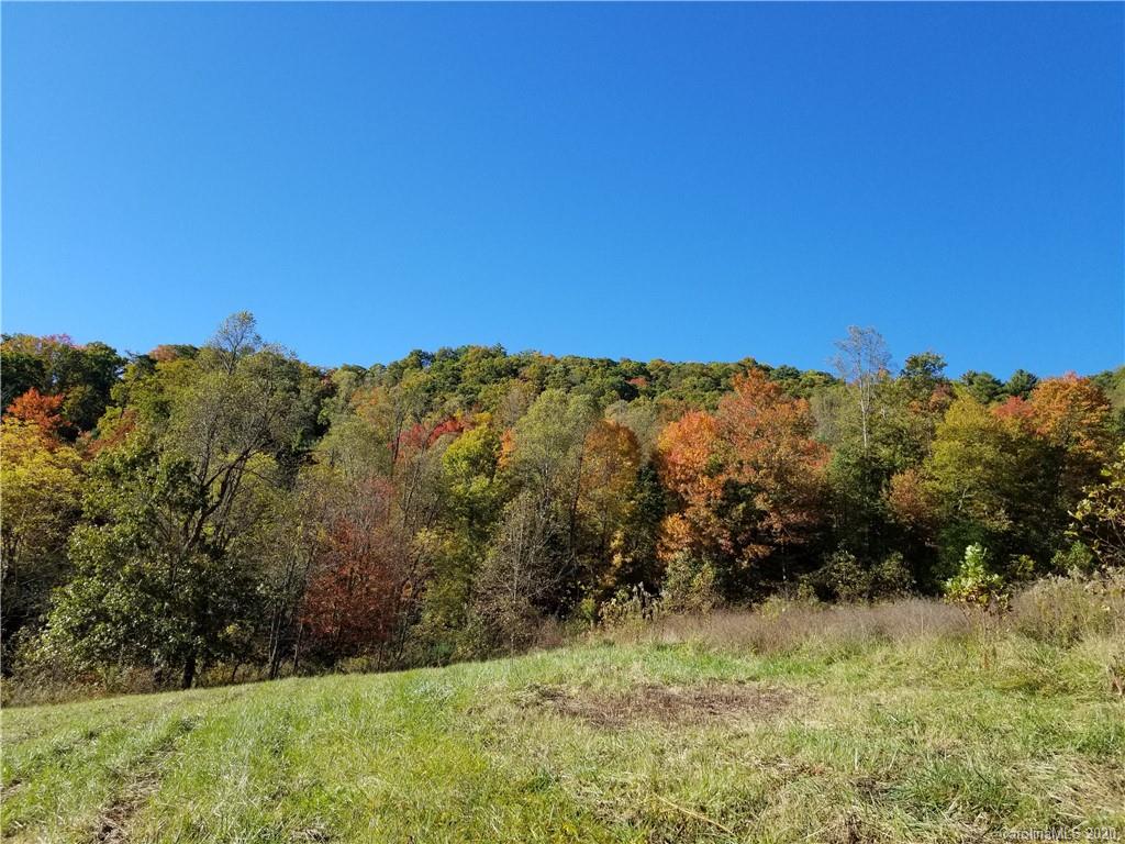 4 A Rabbit Skin Road, Unit TRACT 4A & 5A Waynesville, NC 28785 - Photo 1 of 12 Gallery Image 1