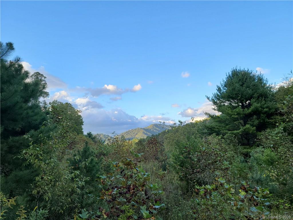 4 A Rabbit Skin Road, Unit TRACT 4A & 5A Waynesville, NC 28785 - Photo 2 of 12 Gallery Image 2
