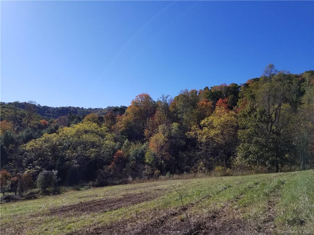 4 A Rabbit Skin Road, Unit TRACT 4A & 5A Waynesville, NC 28785 - Photo 11 of 12 Gallery Image 11