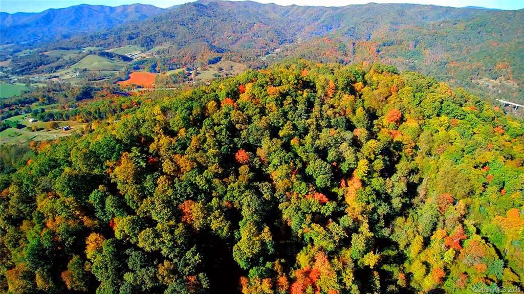 4 A Rabbit Skin Road, Unit TRACT 4A & 5A Waynesville, NC 28785 - Photo 4 of 12 Gallery Image 4