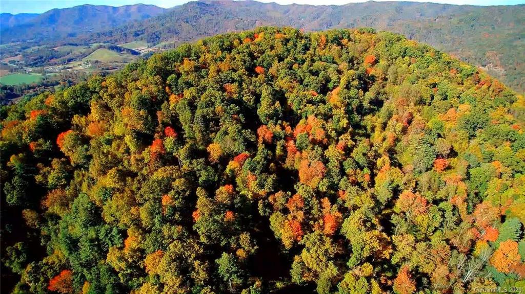 4 A Rabbit Skin Road, Unit TRACT 4A & 5A Waynesville, NC 28785 - Photo 6 of 12 Gallery Image 6