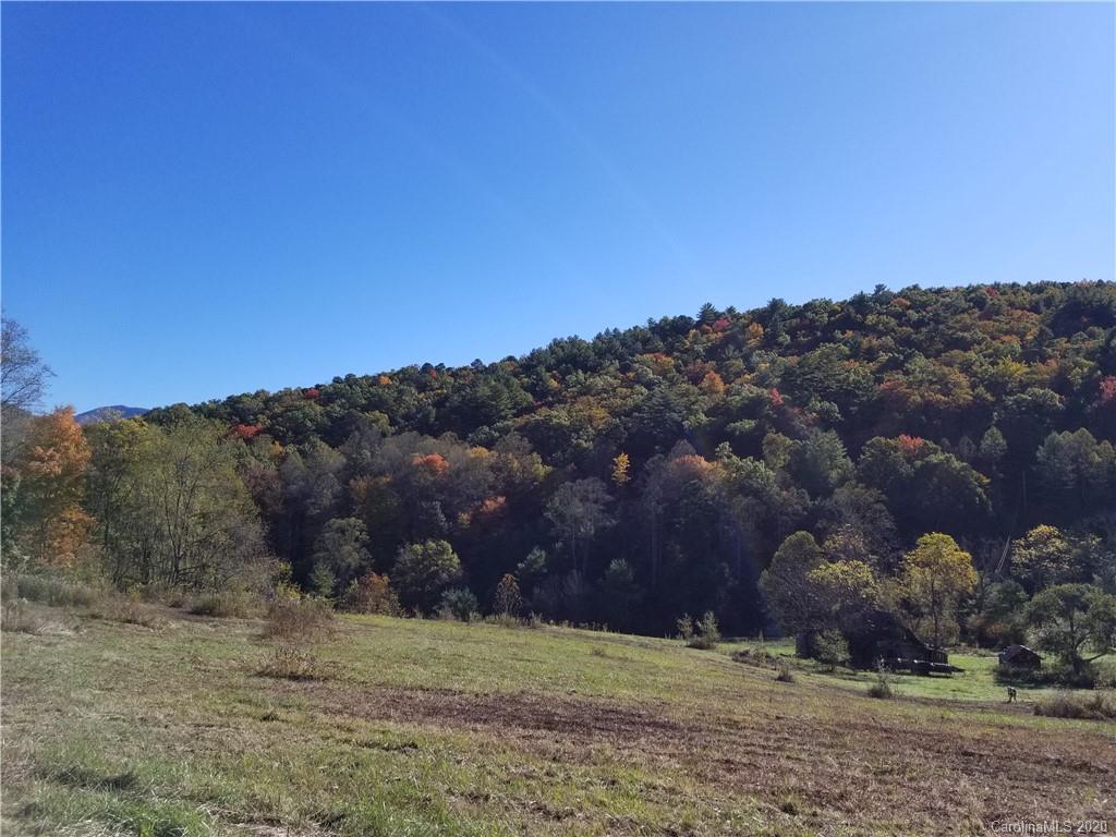 4 A Rabbit Skin Road, Unit TRACT 4A & 5A Waynesville, NC 28785 - Photo 10 of 12 Gallery Image 10