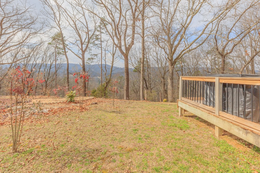 432 Castle Road Dalton, GA 30720 - Photo 9 of 68 Gallery Image 9