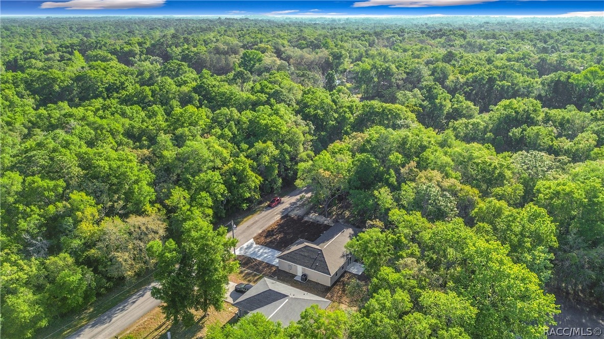 3276 East Pierce Street Inverness, FL 34453 - Photo 53 of 56