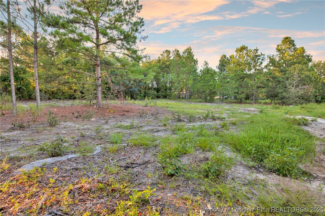 a view of outdoor space and yard