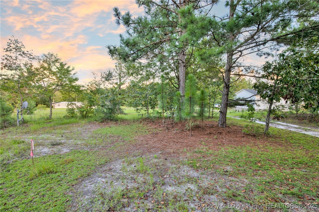 234 Brower Road Cameron, NC 28326 - Photo 11 of 16 a view of a yard with a tree