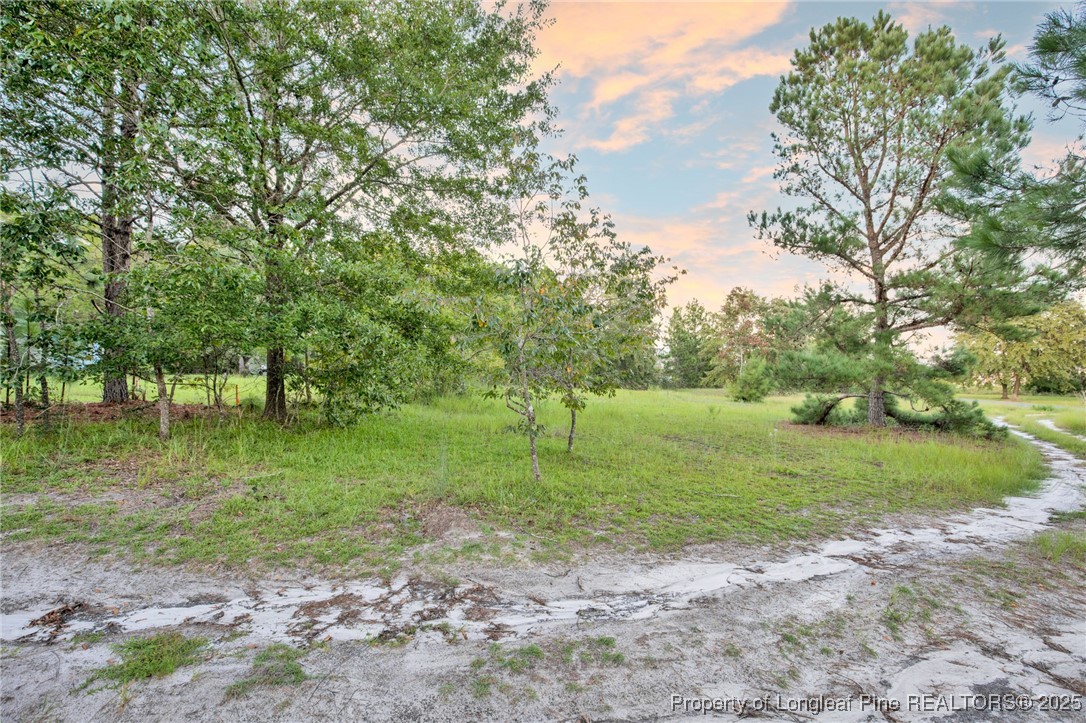 234 Brower Road Cameron, NC 28326 - Photo 13 of 16 a view of a park