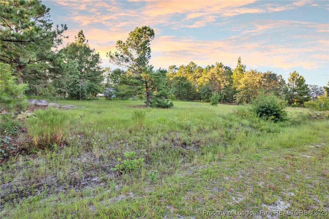 234 Brower Road Cameron, NC 28326 - Photo 14 of 16 a view of an outdoor space with a lake view
