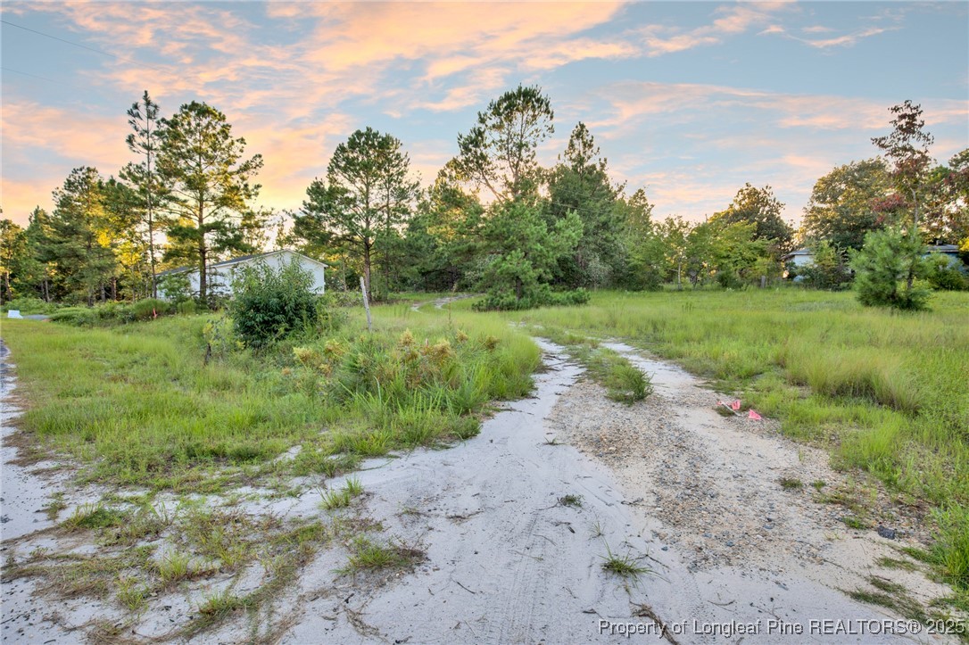 234 Brower Road Cameron, NC 28326 - Photo 15 of 16 a view of a dirt road with trees in the background