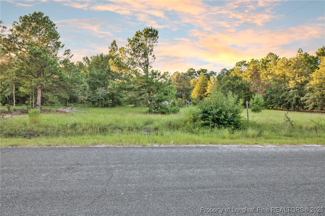 234 Brower Road Cameron, NC 28326 - Photo 2 of 16 a view of outdoor space and yard