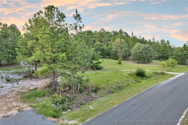 a view of a grassy field with trees