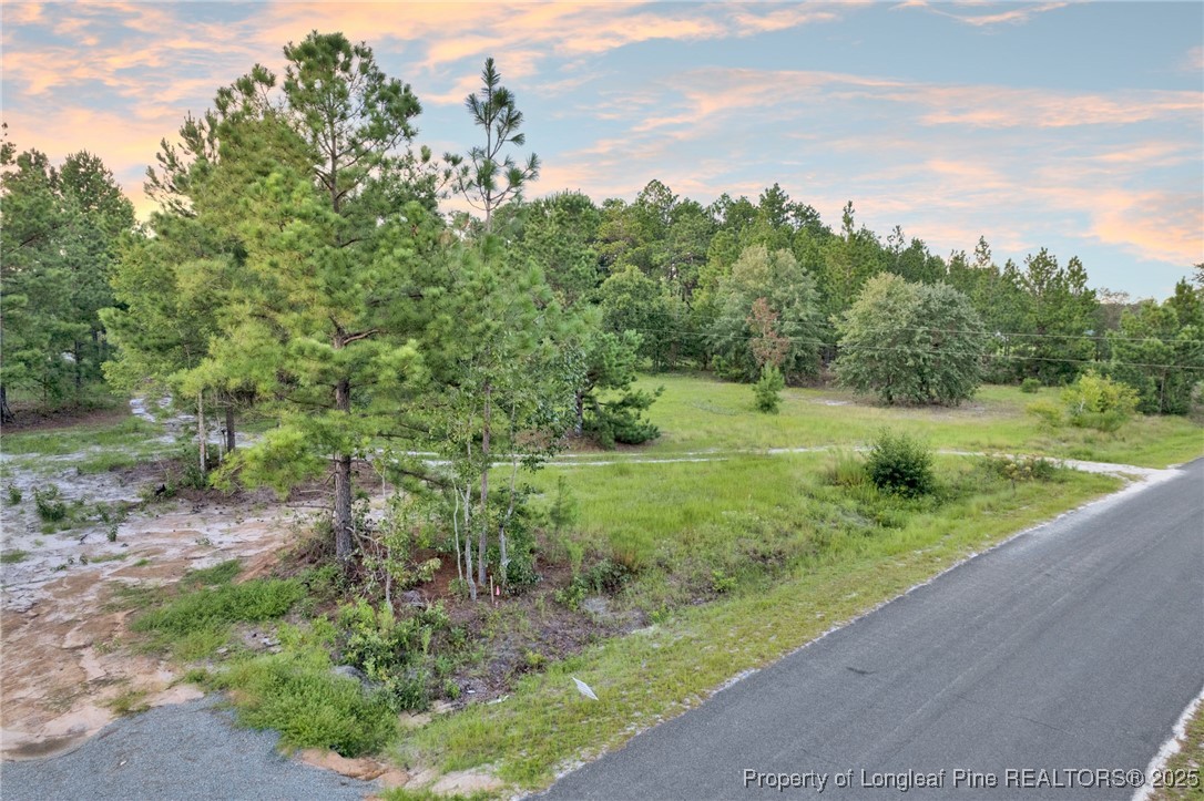 234 Brower Road Cameron, NC 28326 - Photo 3 of 16 a view of a grassy field with trees