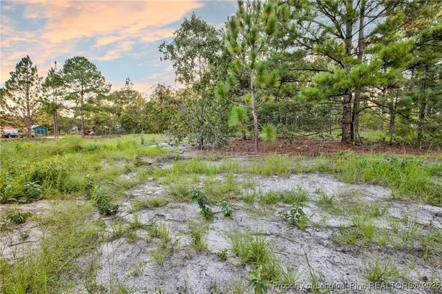 a view of a yard with a tree