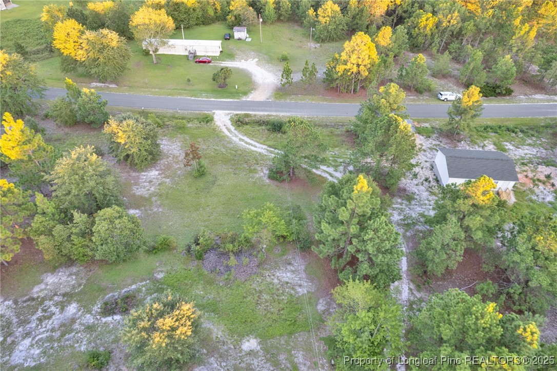 234 Brower Road Cameron, NC 28326 - Photo 6 of 16 a view of swimming pool with a yard