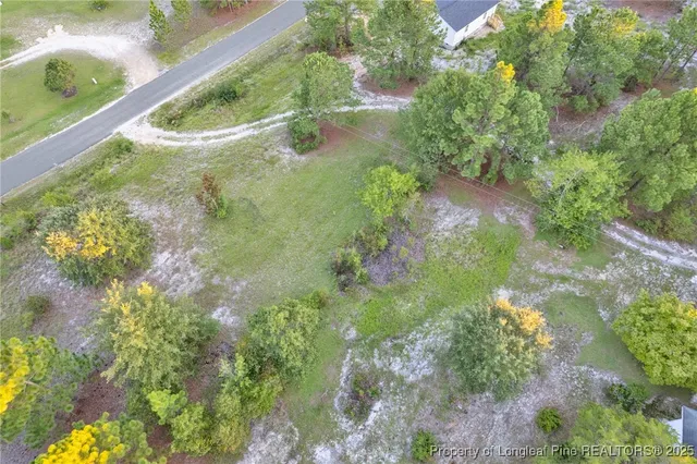 a view of flowers in a garden