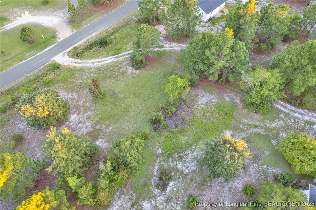 234 Brower Road Cameron, NC 28326 - Photo 7 of 16