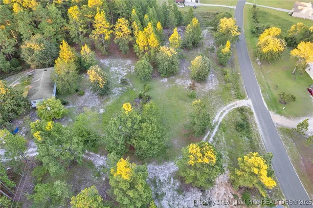 a view of a yard with a tree