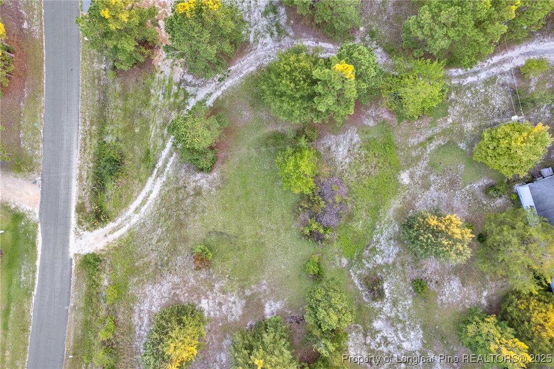 234 Brower Road Cameron, NC 28326 - Photo 10 of 16 a close up of a plant in a garden