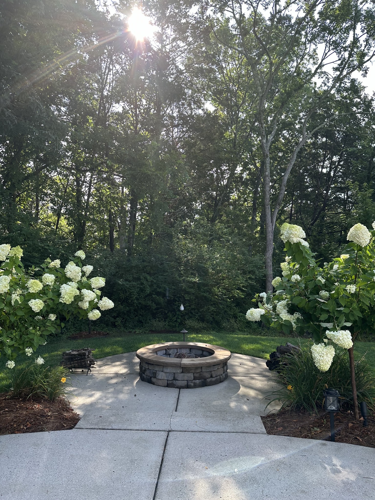 238 Caroline Way Mount Juliet, TN 37122 - Photo 42 of 51